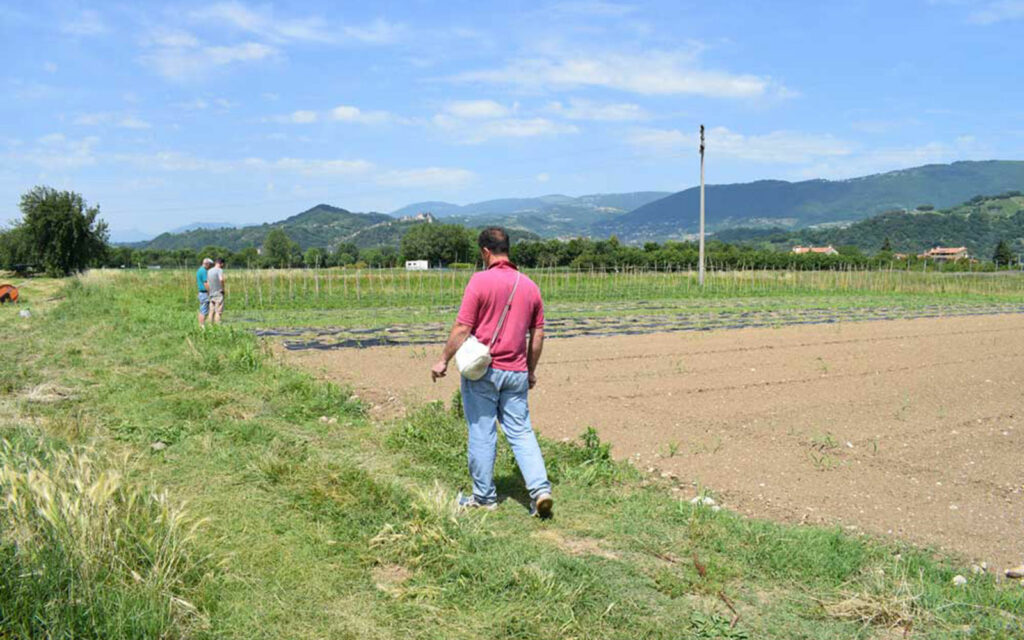 DSC_0412-1024x640 Convegno conclusivo progetto AGRICOLTURA SOCIALE PEDEMONTANA"