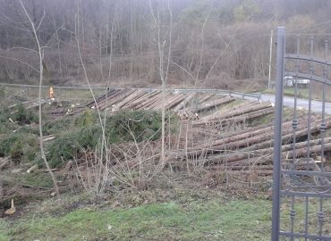 abbattimenti-forestali-3-q1f4ijx7lo6t6ccqj9yj8r0uueldl8jtuedvnnzor0 MANUTENZIONE AREE VERDI