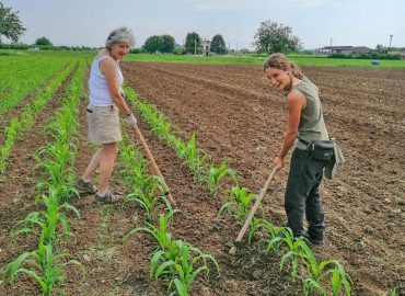 fattoria-sociale-17-q1f4k4bizqc0iy2tdyc5ecsihivef2rq25j0g9o2do FATTORIA SOCIALE