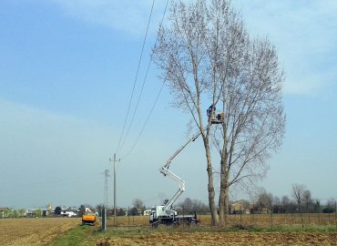 potatura-in-piattaforma-q1f4kqvnjr6w9l61q837273kqrs7jt9a596nywqm8c MANUTENZIONE AREE VERDI