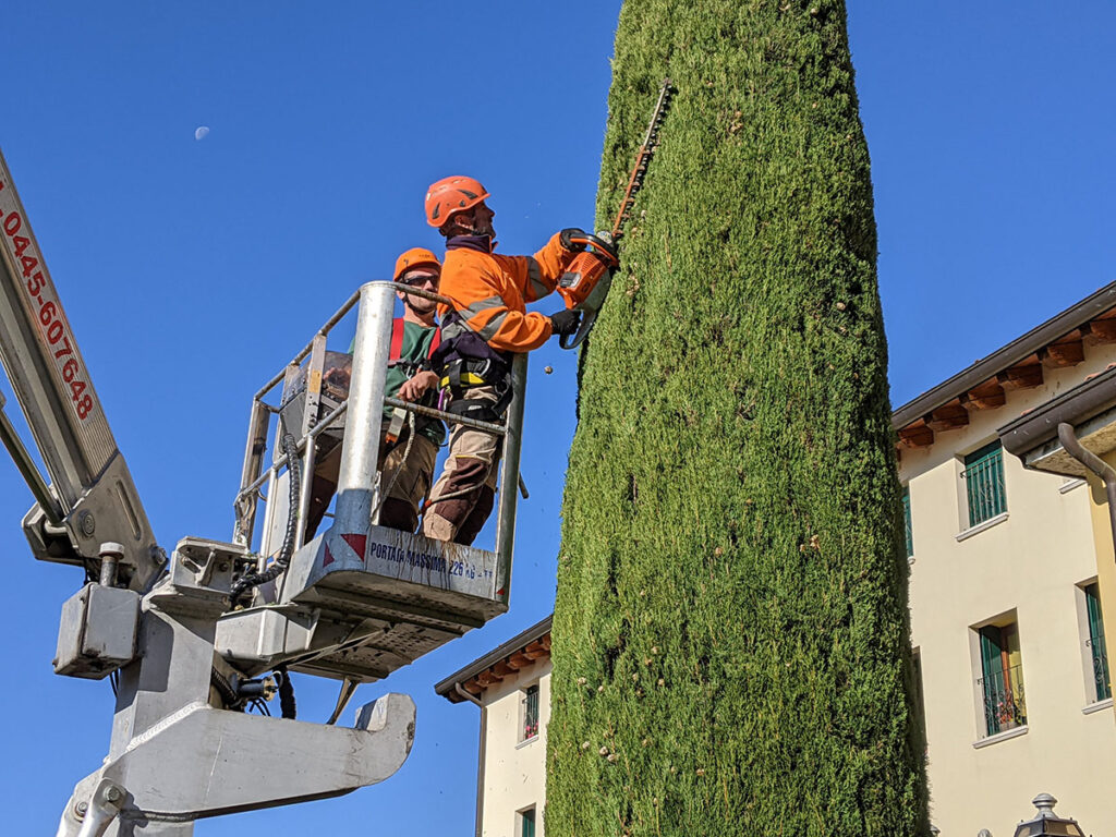 verde-1-1024x768 IL TUO 5X1000 AI NOSTRI PROGETTI DI INCLUSIONE LAVORATIVA E SOCIALE